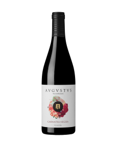 Microvinificación Garnacha Negra