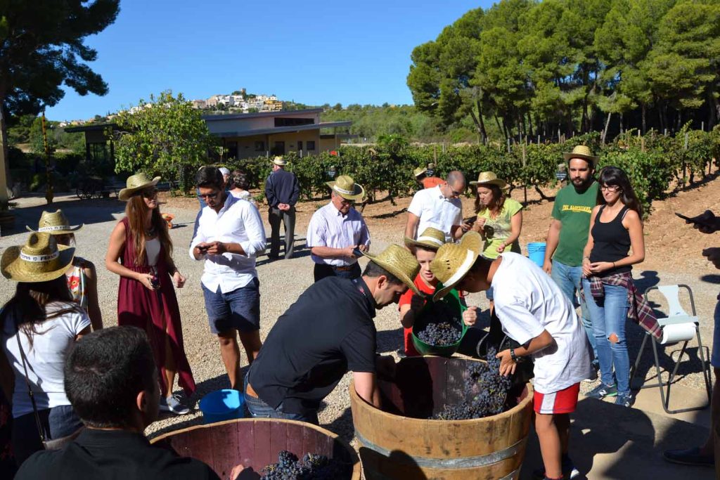 Imatge de l’activitat enoturística de la verema i el premsat del raïm a Cellers Avgvstvs Forvm