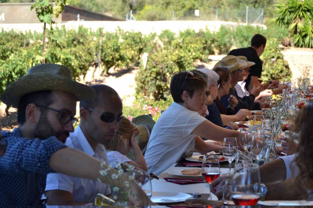 Imatge detall de dinar a la terrassa de la Sala Entrevinyes per a activitats d’enoturisme a Cellers Avgvstvs Forvm
