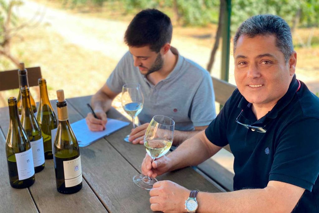 Imatge d’Enric Roca, director tècnic de Cellers Avgvstvs Forvm treballant al celler al Vendrell.