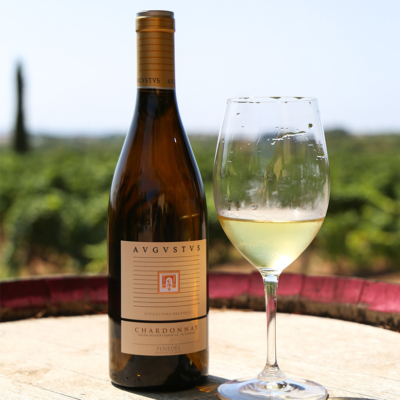 Imatge detall de l’Avgvstvs Chardonnay.