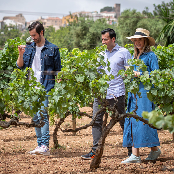 Imatge de celler Avgvstvs Forvm al Penedès