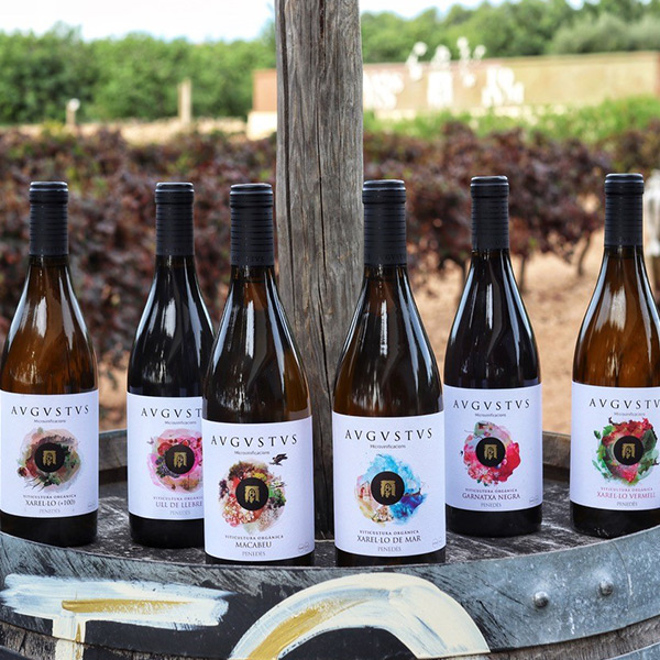 Imatge detall de vins del Penedès d’Avgvstvs Forvm