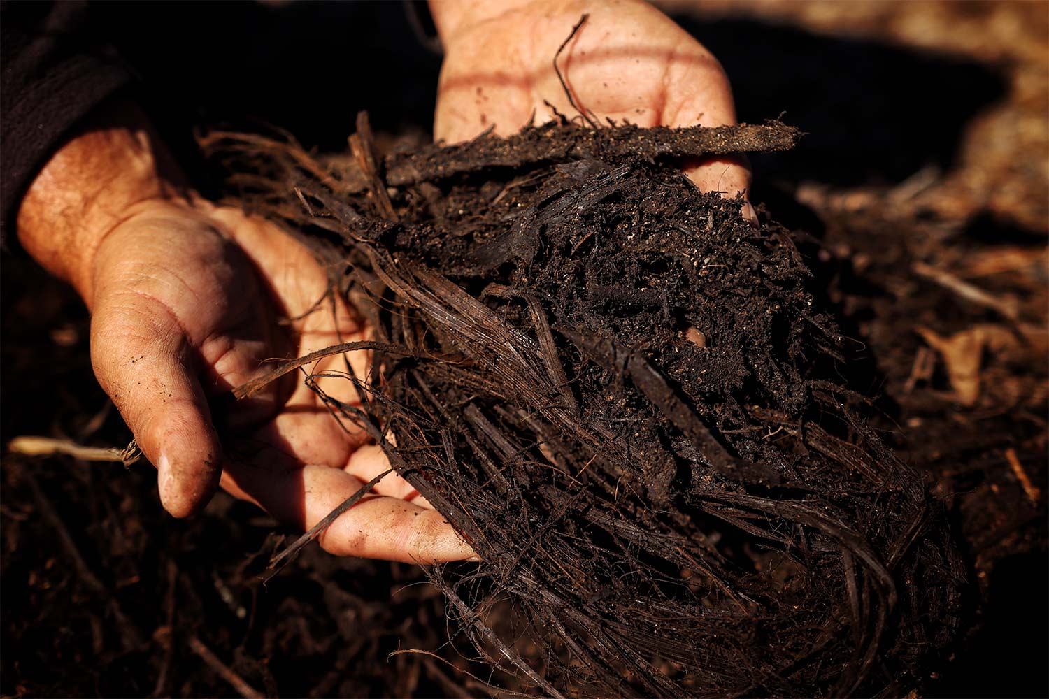 MULCHING PARA COMBATIR LA SEQUÍA