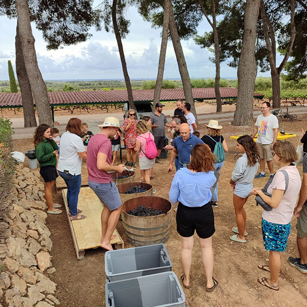 Imagen del prensado de la uva en la Fiesta de la Vendimia en la bodega del Vendrell Avgvstvs Forvm