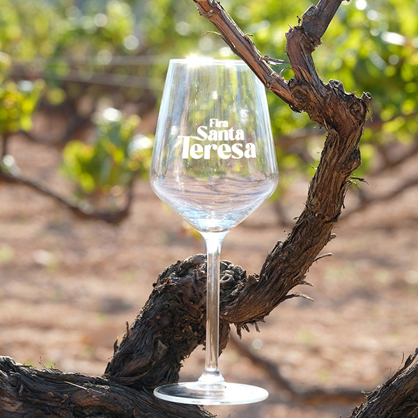 Imagen de la copa de la Feria Santa Teresa 2023, en los viñedos de la bodega del Penedès Avgvstvs Forvm