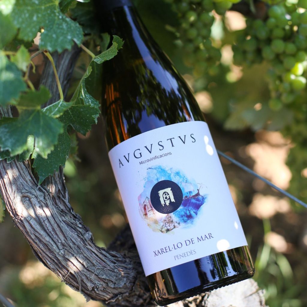 Imatge de Avgvstvs Microvinificació Xarel·lo de Mar