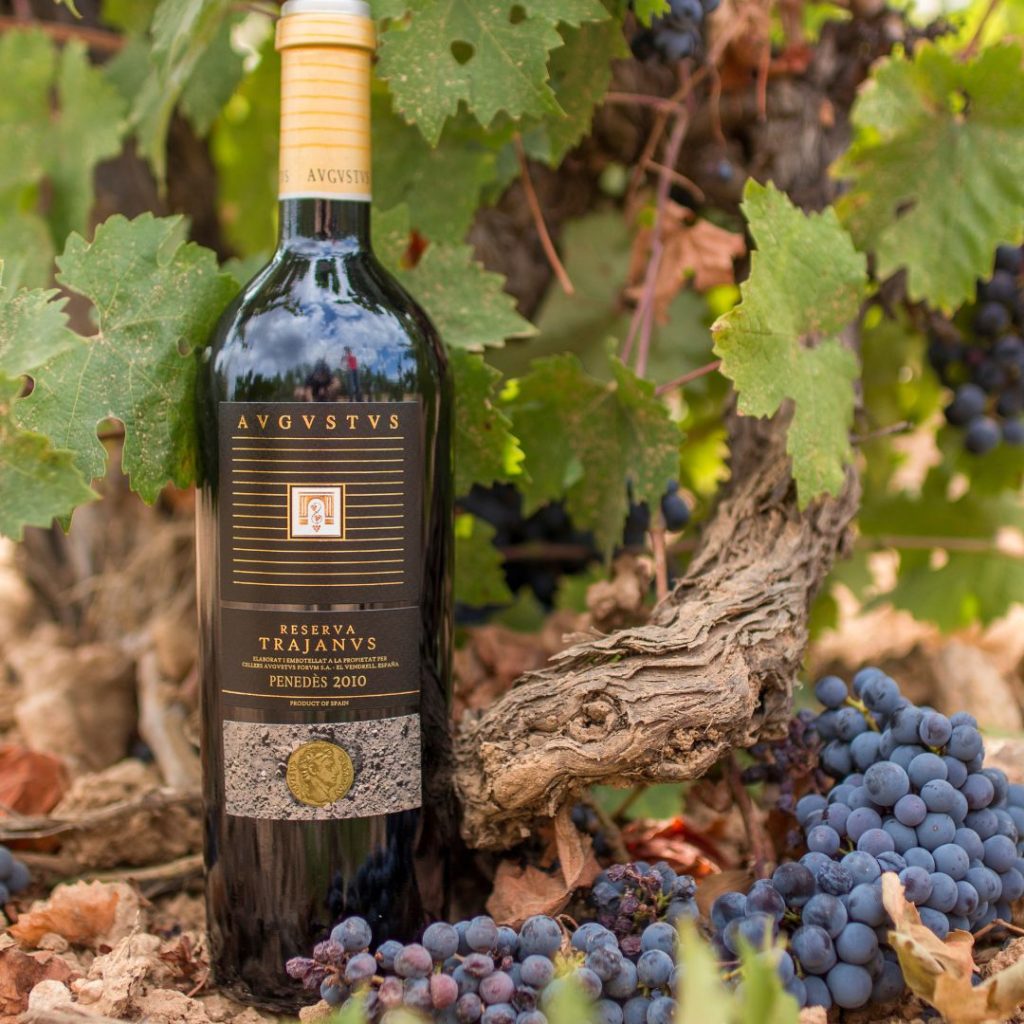 Imatge de Avgvstvs Trajanvs