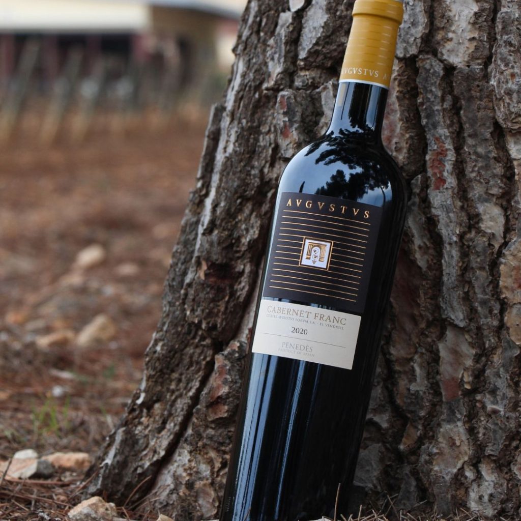 Imatge de Avgvstvs Cabernet Franc