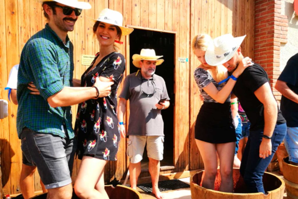 Imatge de l'activitat enoturística de la verema a Cellers Avgvstvs Forvm