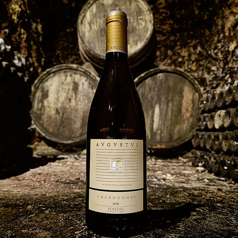 Imagen detalle de Avgvstvs Chardonnay.