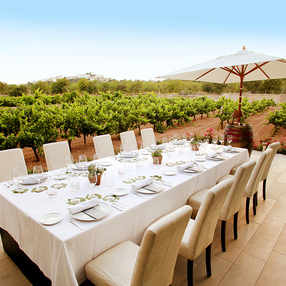 Degvsta Restaurant