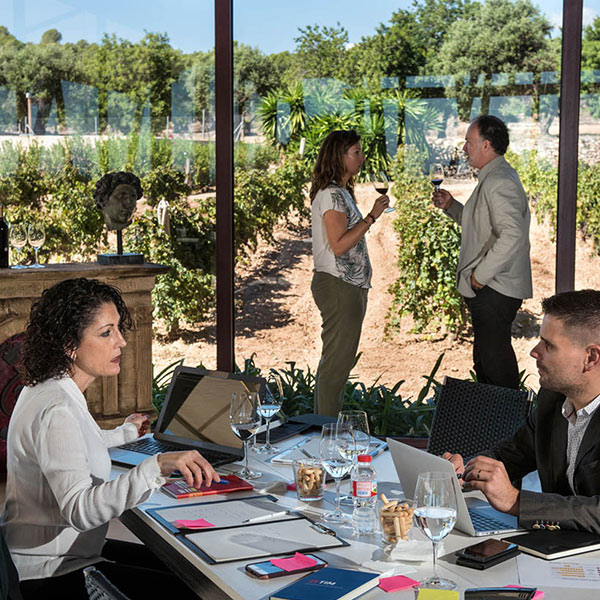 Imatge d’una activitat per a empreses al celler del Penedès Avgvstvs Forvm