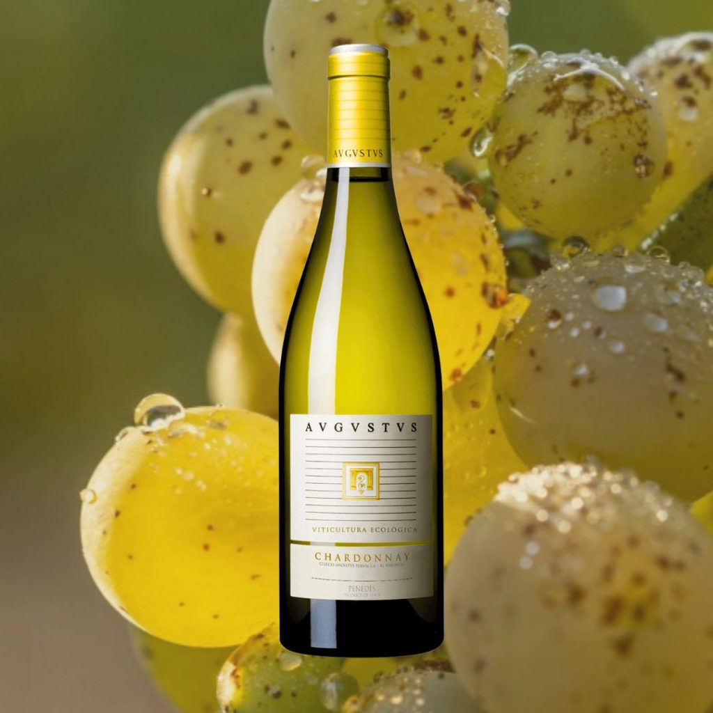 Imatge de Chardonnay d'Avgvstvs Forvm