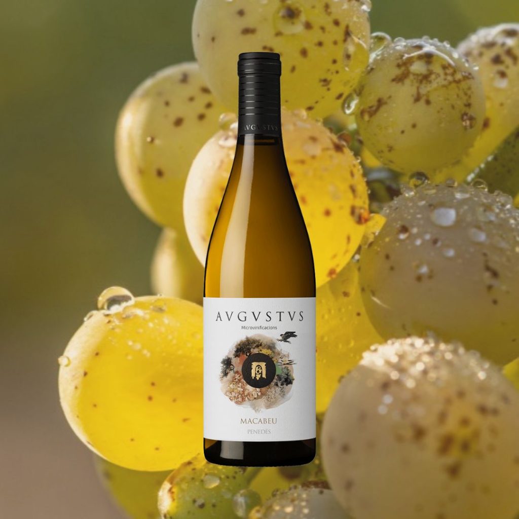 Imatge de Macabeu d'Avgvstvs Forvm