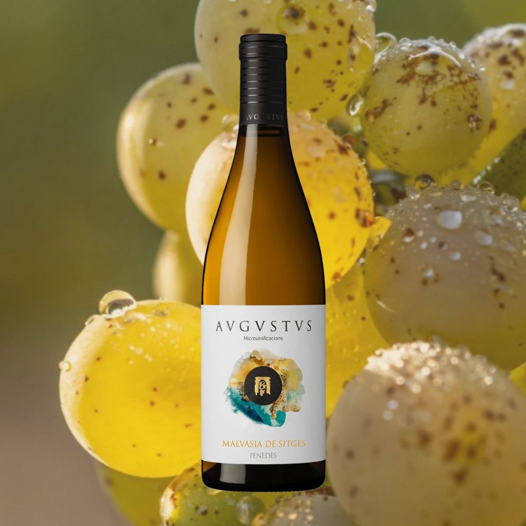 Imatge de Malvasia de Sitges d'Avgvstvs Forvm