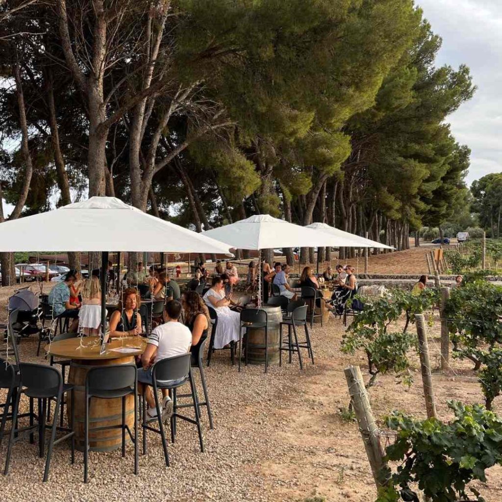 Imatge de tardeos i sopars d’estiu Avgvstvs Forvm