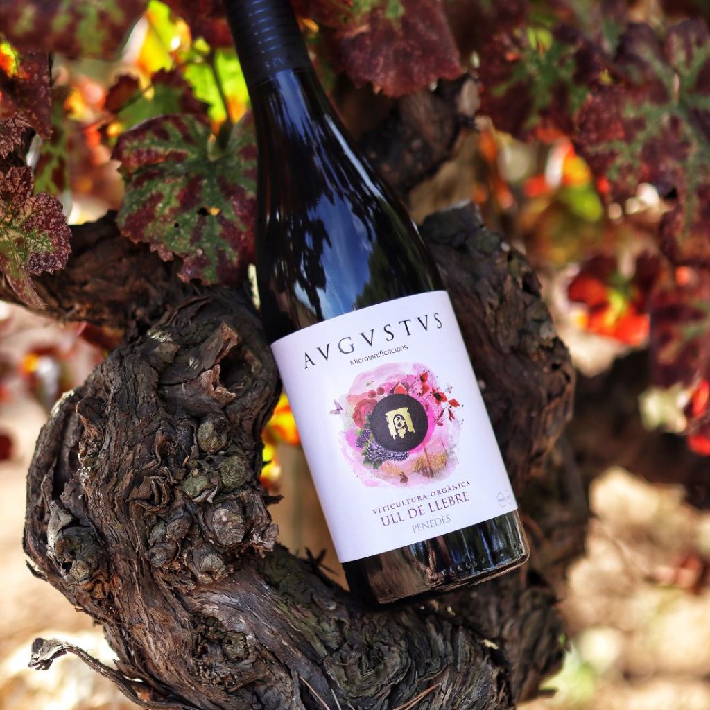 Imatge d'Ull de llebre d'Avgvstvs Forvm