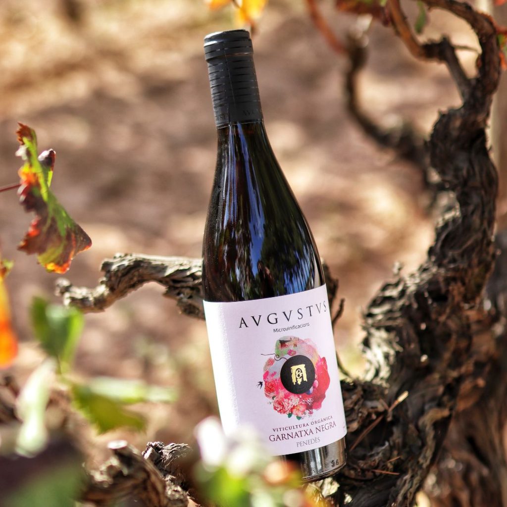 Imatge de Garnatxa Negra d'Avgvstvs Forvm