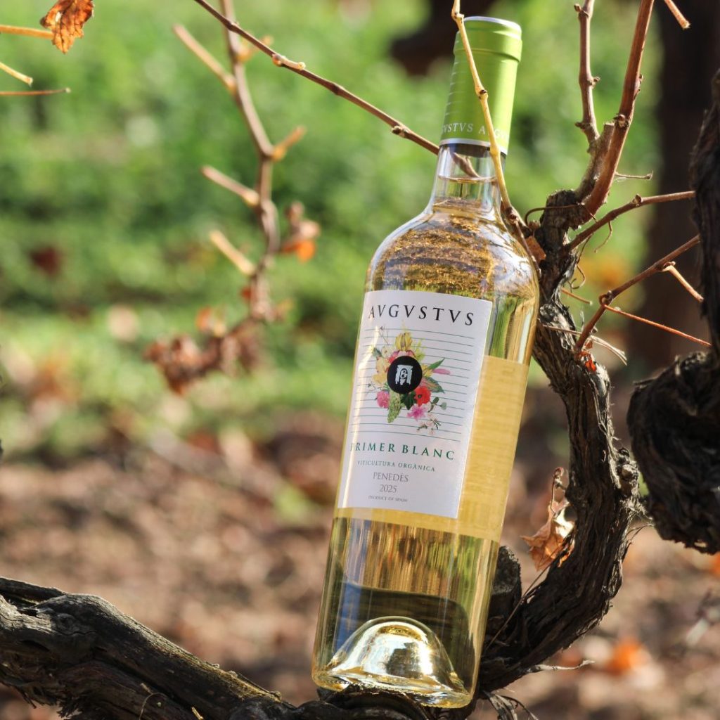 Imagen del Primer Blanc de Avgvstvs Forvm