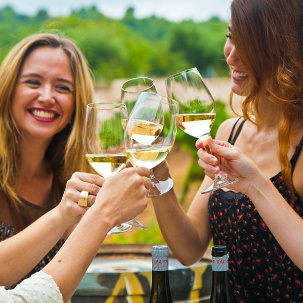 Foto de visita celler Avgvstvs Forvm