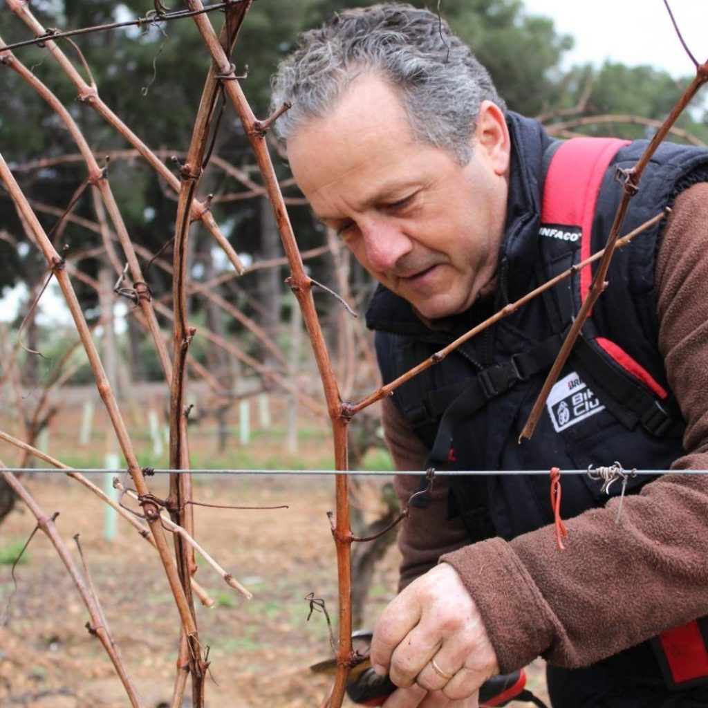 Imagen poda Avgvstvs Forvm