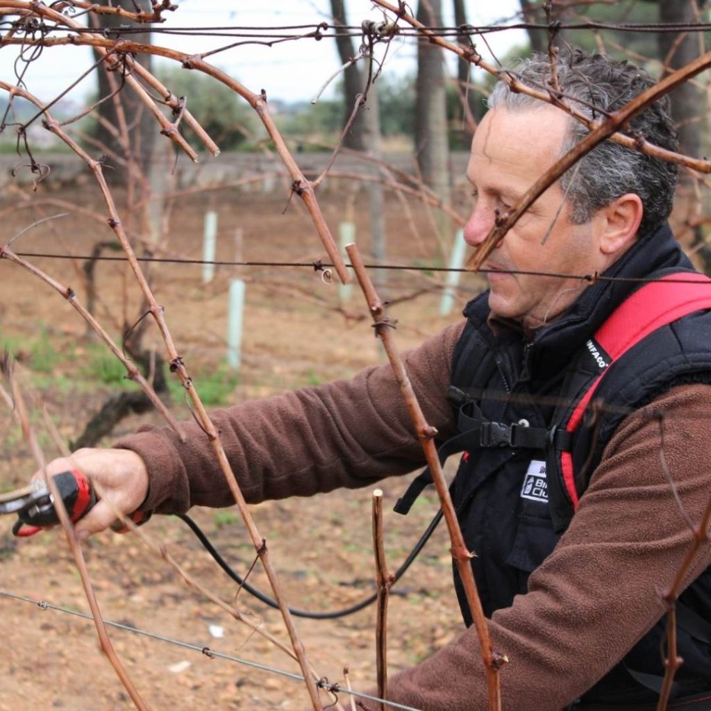 Imagen poda Avgvstvs Forvm