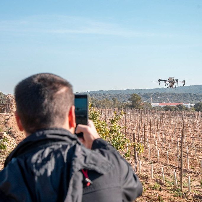 Imagen de un dron sobrevolando los viñedos de Avgvstvs Forvm