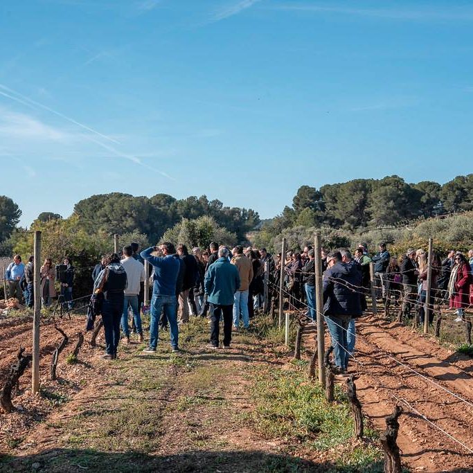 Fotografía de la visita a les vinyes d'Avgvstvs Forvm