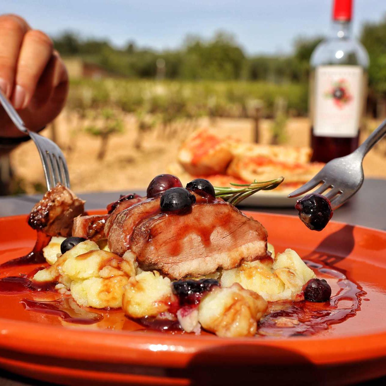 Fotografía d'un plat del Restaurant Degvsta