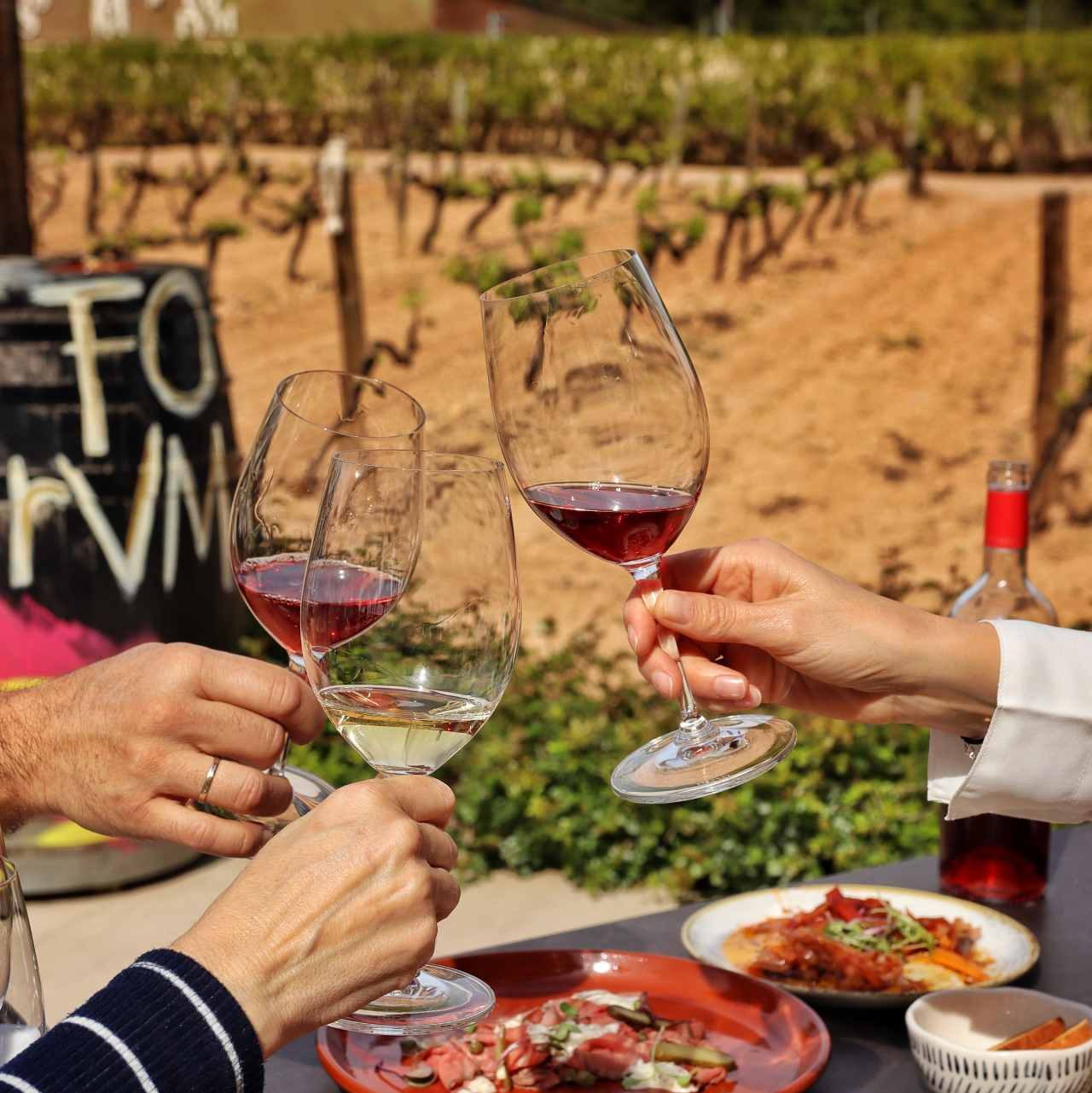 Fotografía d0un brindis al Restaurant Degvsta